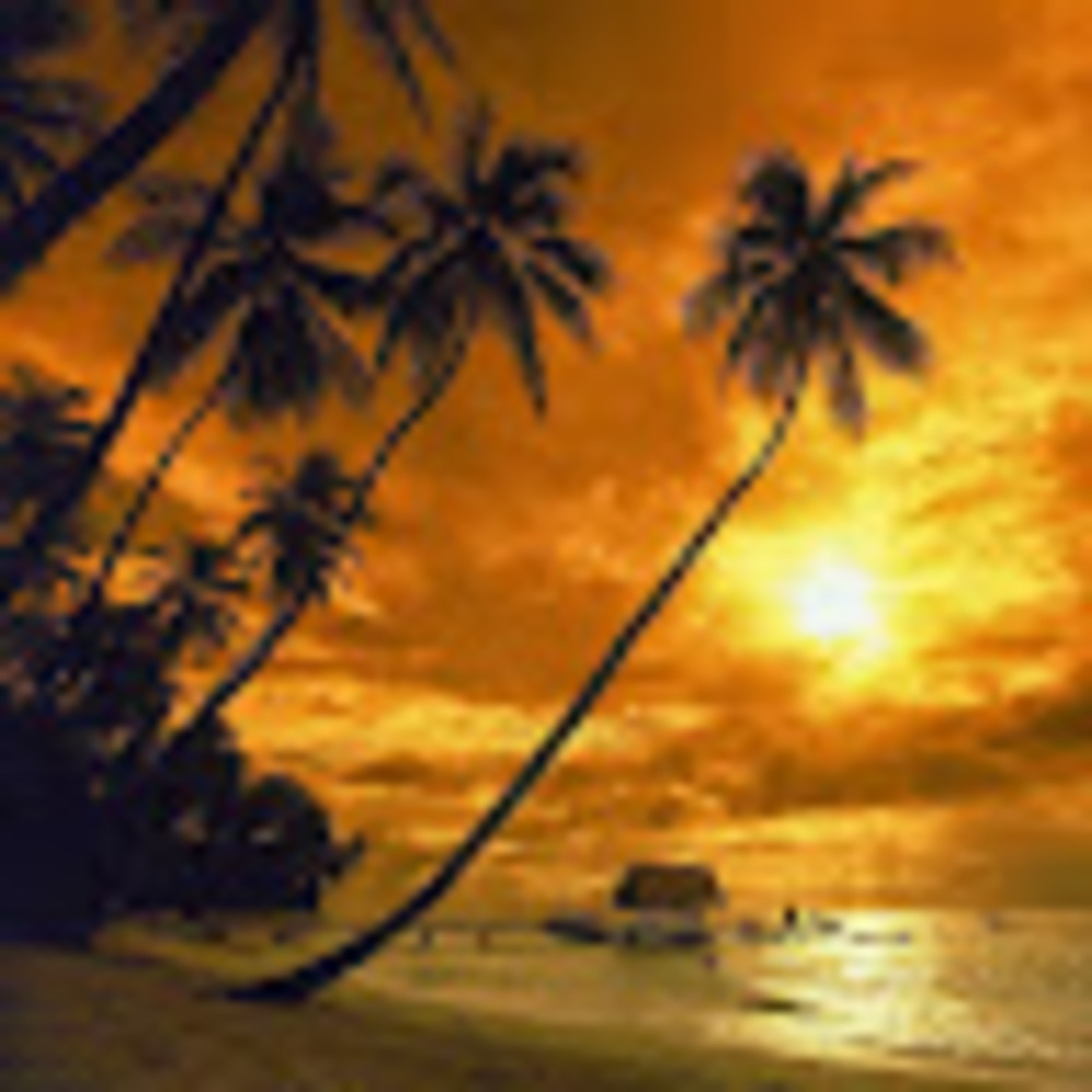 Meet your Posher, Javier